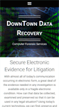 Mobile Screenshot of dtdatarecovery.com