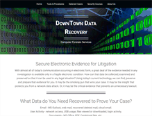 Tablet Screenshot of dtdatarecovery.com